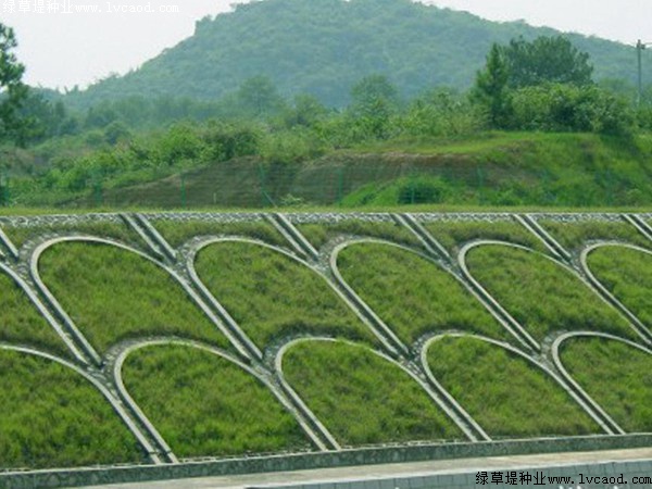 铁路路基护坡绿化工程应用