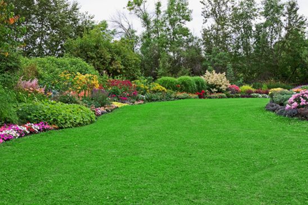 草坪种植过程中常见的八大问题