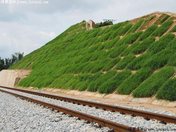 铁路路基护坡绿化工程应用