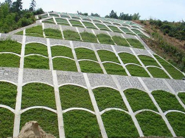 护坡草籽播种及养护方法